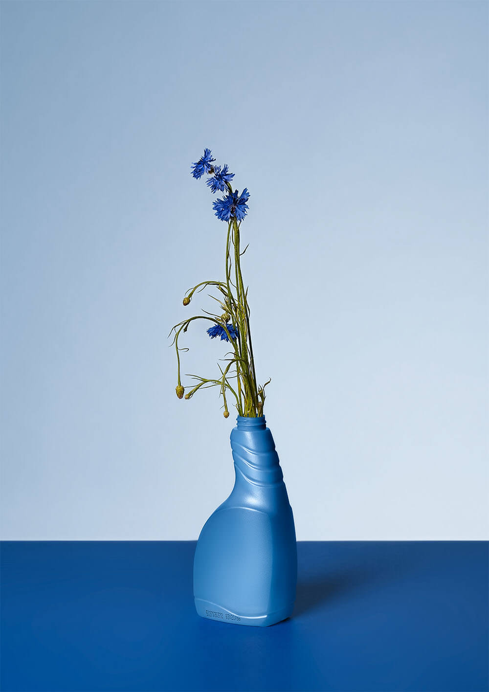 Vanessa Leissring zdjęcie kwiatów w plastikowej butelce w niebieskiej kolorystyce